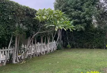 Villas For rent - 5 rooms