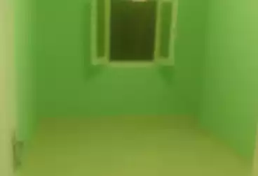 عقارات للإيجار - 2 غرف - بالدور 7