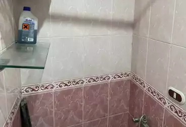 شقق للإيجار - 3 غرف - بالدور 10