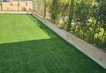 عقارات للإيجار - 4 غرف - بالدور 1