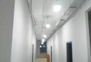 عقارات للإيجار