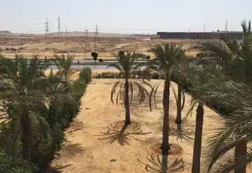 فلل للبيع - 9 غرف