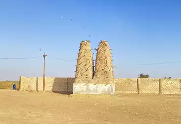 أرض زراعية للبيع