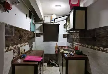 undefined undefined - 3 rooms - floor 1