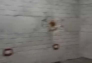 شقق للإيجار - 2 غرف - بالدور 11