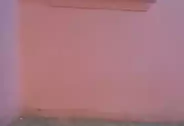 Apartments For rent - 2 rooms - floor 1