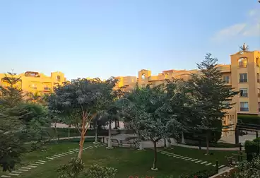 شقق للبيع - 2 غرف - بالدور 0