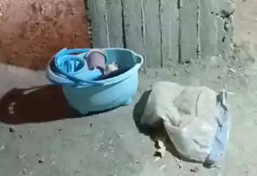 undefined undefined - 4 غرف - بالدور 7