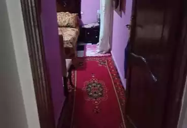 شقق للبيع - 2 غرف - بالدور 6