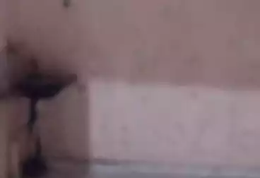 عقارات للإيجار - بالدور 0