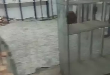 Shops For sale - floor 0