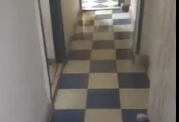 Administrative For rent - 2 rooms - floor 0