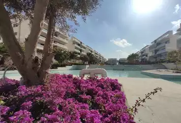 عقارات للبيع - 3 غرف - بالدور 0