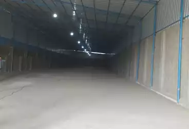 عقارات للإيجار