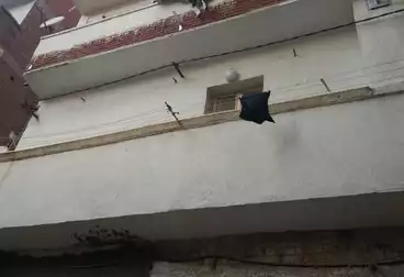 شقق للبيع - 2 غرف - بالدور 2