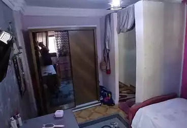 شقق للبيع - 3 غرف - بالدور 6