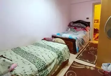 شقق للبيع - 3 غرف - بالدور 3