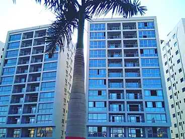 Properties For rent - 12 rooms - floor 6