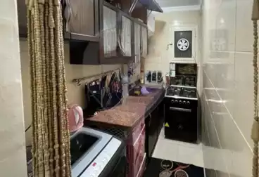 شقق للبيع - 3 غرف - بالدور 1