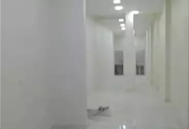 Properties For rent - floor 0