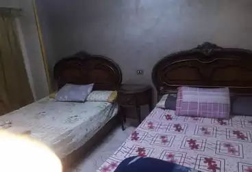 عقارات للإيجار - 2 غرف - بالدور 0