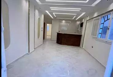 شقق للبيع - 2 غرف - بالدور 3