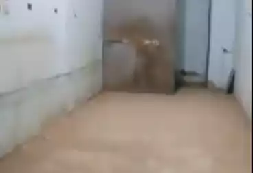 Shops For rent - floor 0