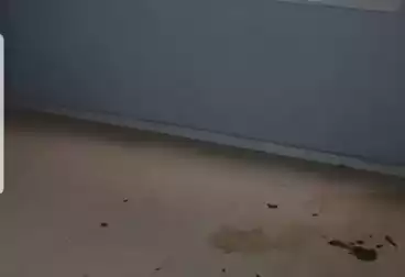 undefined undefined - 3 rooms - floor 2