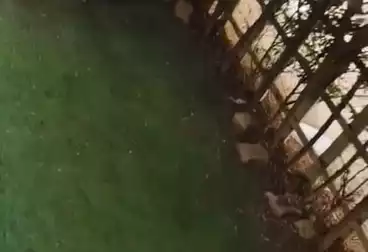 Apartments For rent - 2 rooms - floor 0