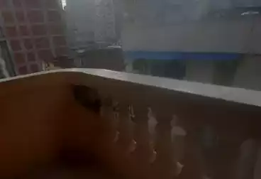 undefined undefined - 2 rooms - floor 8