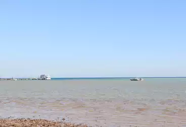 Properties For sale - 1 rooms - floor 1