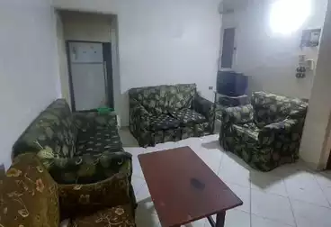 عقارات للإيجار - 3 غرف - بالدور 4