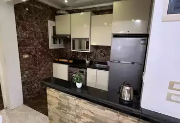 شقق مفروشة للبيع - 2 غرف - بالدور 11