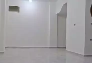 عقارات للإيجار - بالدور 0