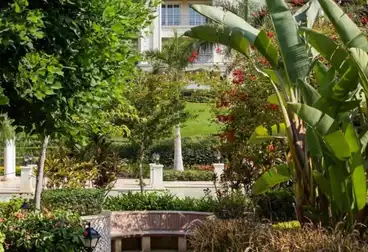 Apartments For sale - 3 rooms - floor 1