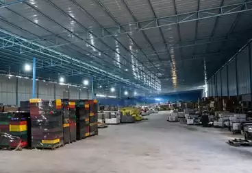 عقارات للإيجار