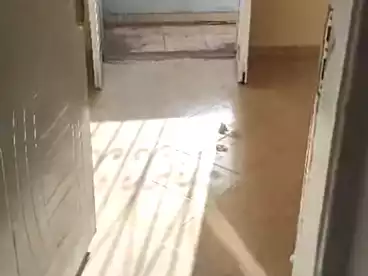 Apartments For rent - 3 rooms - floor 0