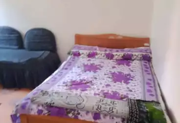 Properties For rent - 3 rooms - floor 3