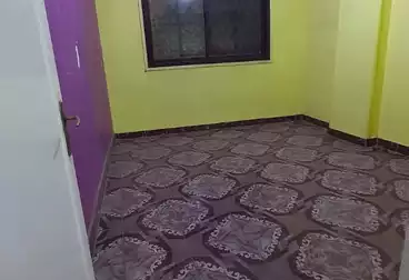 شقق للإيجار - 2 غرف - بالدور 1