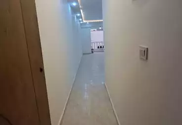 شقق للبيع - 3 غرف - بالدور 7