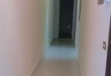 مكاتب للإيجار - 5 غرف - بالدور 2