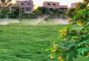 فلل للبيع - 3 غرف