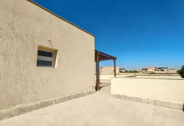 Villas For rent - 4 rooms