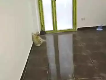 Apartments For sale - 3 rooms - floor 2