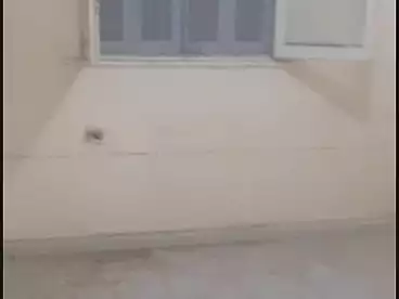 شقق للإيجار - 2 غرف - بالدور 0
