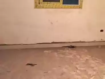 عقارات للبيع - 3 غرف - بالدور 2