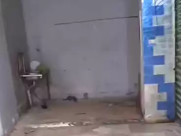 Shops For rent - floor 0