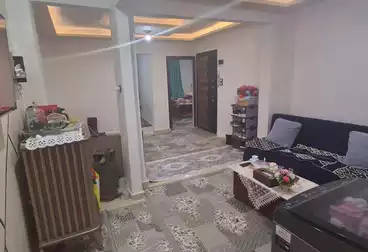 شقق للبيع - 3 غرف - بالدور 6