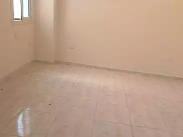 عقارات للإيجار - 3 غرف - بالدور 4