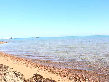 شقق للبيع - 1 غرف - بالدور 1